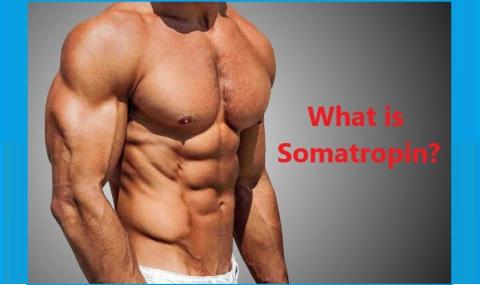 What is Somatropin?