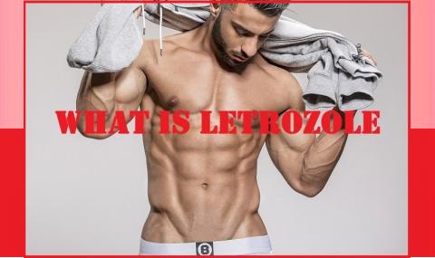 What is Letrozole?