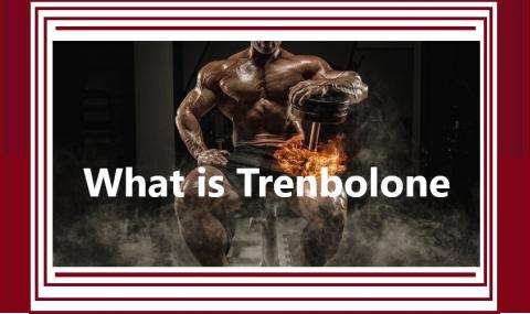 What is Trenbolone?
