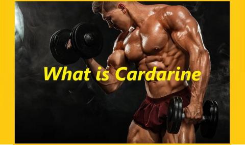 What is Cardarine?