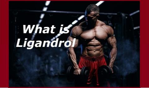 What is Ligandrol?