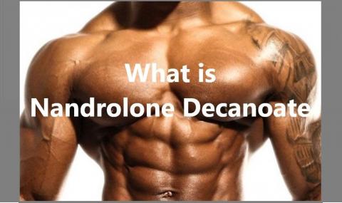 What is Nandrolone Decanoate?