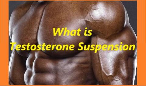What is Testosterone Suspension?