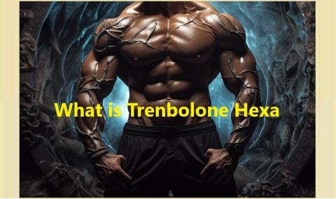 What is Trenbolone Hexa?
