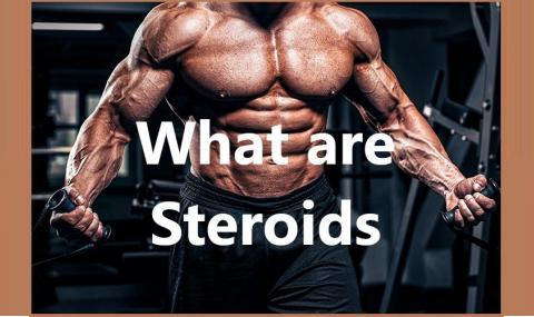 What are Steroids?