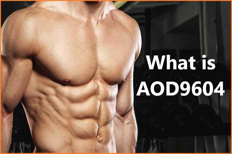 Articles Image What is AOD9604?
