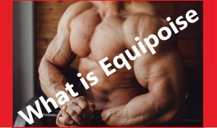 What is Equipoise?