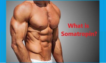 What is Somatropin?