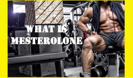 What is Mesterolone?