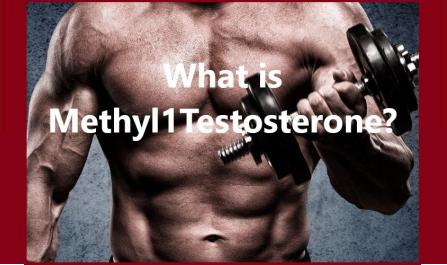 What is Methyl1Testosterone?