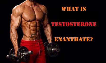To Get Muscle and Testosterone Boost Buy Testosterone Enanthate Online