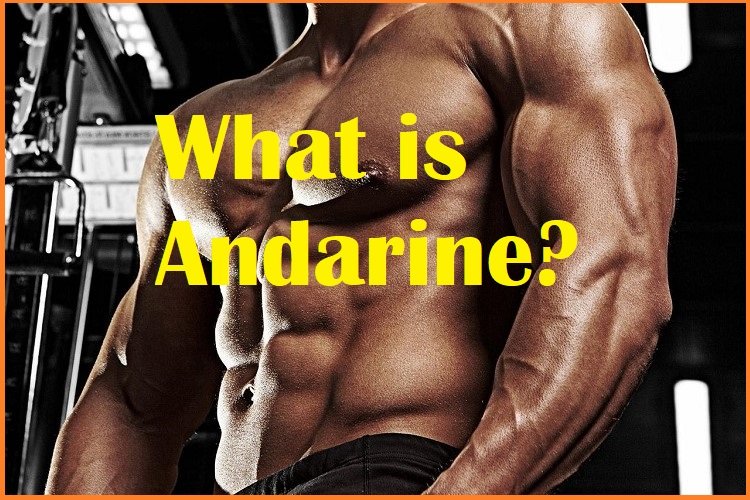 What is Andarine?