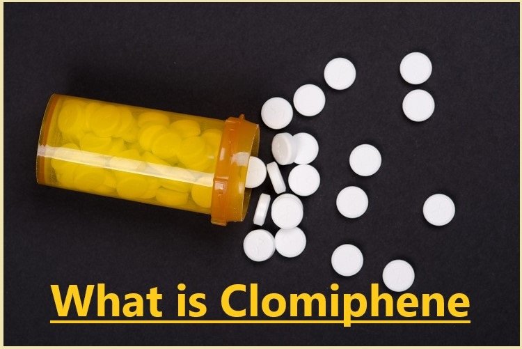 What is Clomiphene