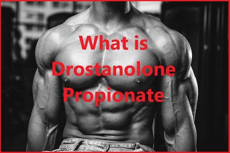 What is Drostanolone Propionate