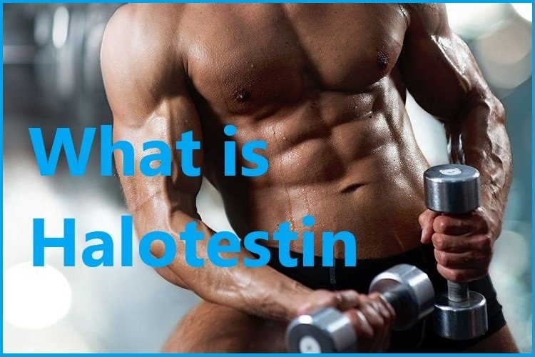 What is Halotestin?