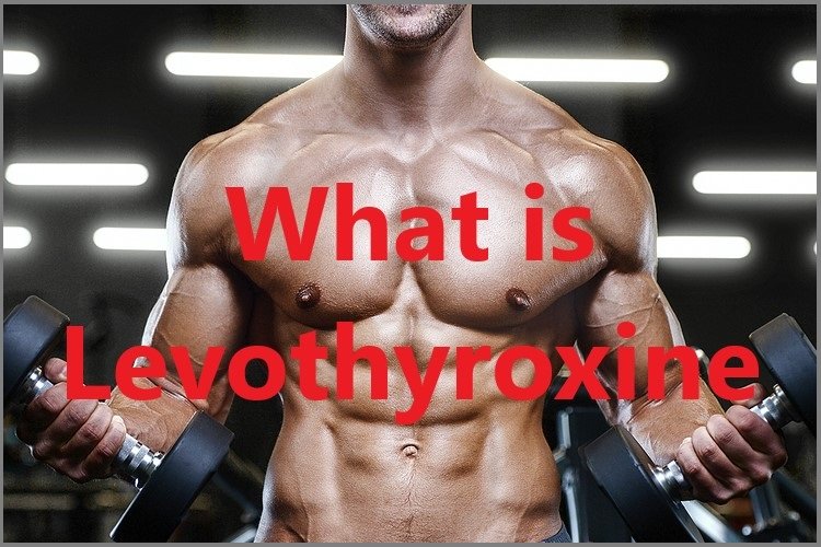 What is Levothyroxine