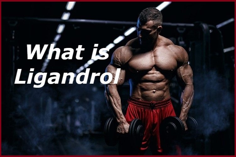 What is Ligandrol