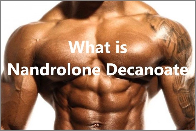 What is Nandrolone Decanoate