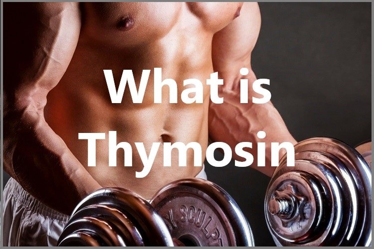 What is Thymosin?