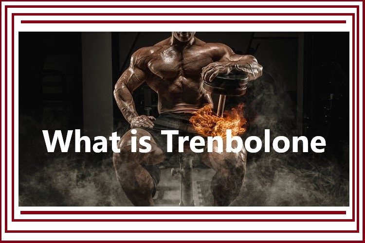 What is Trenbolone?